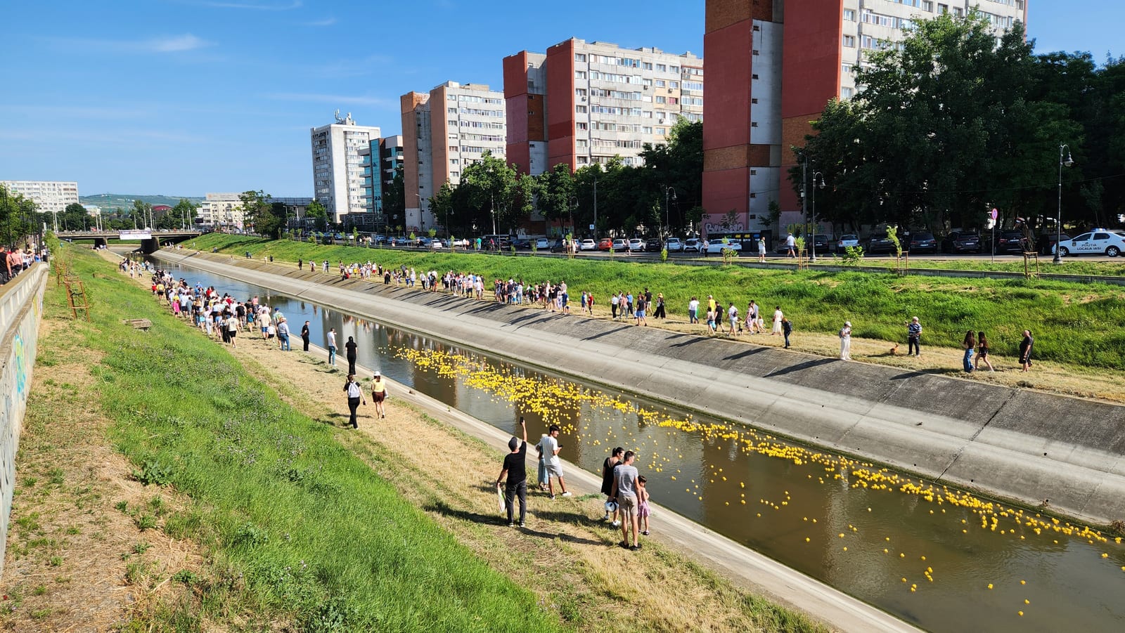 Cursa de Rățuște